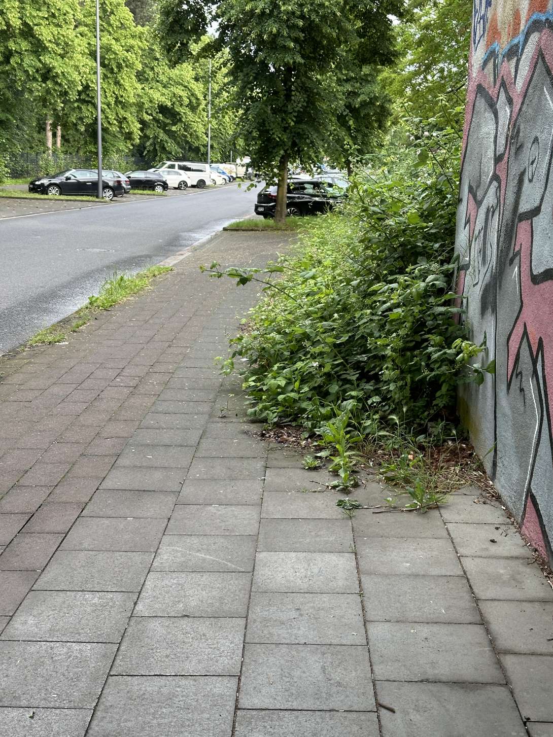 Bild zu gemeldetem Anliegen vom *2024-06-17 21:43:41