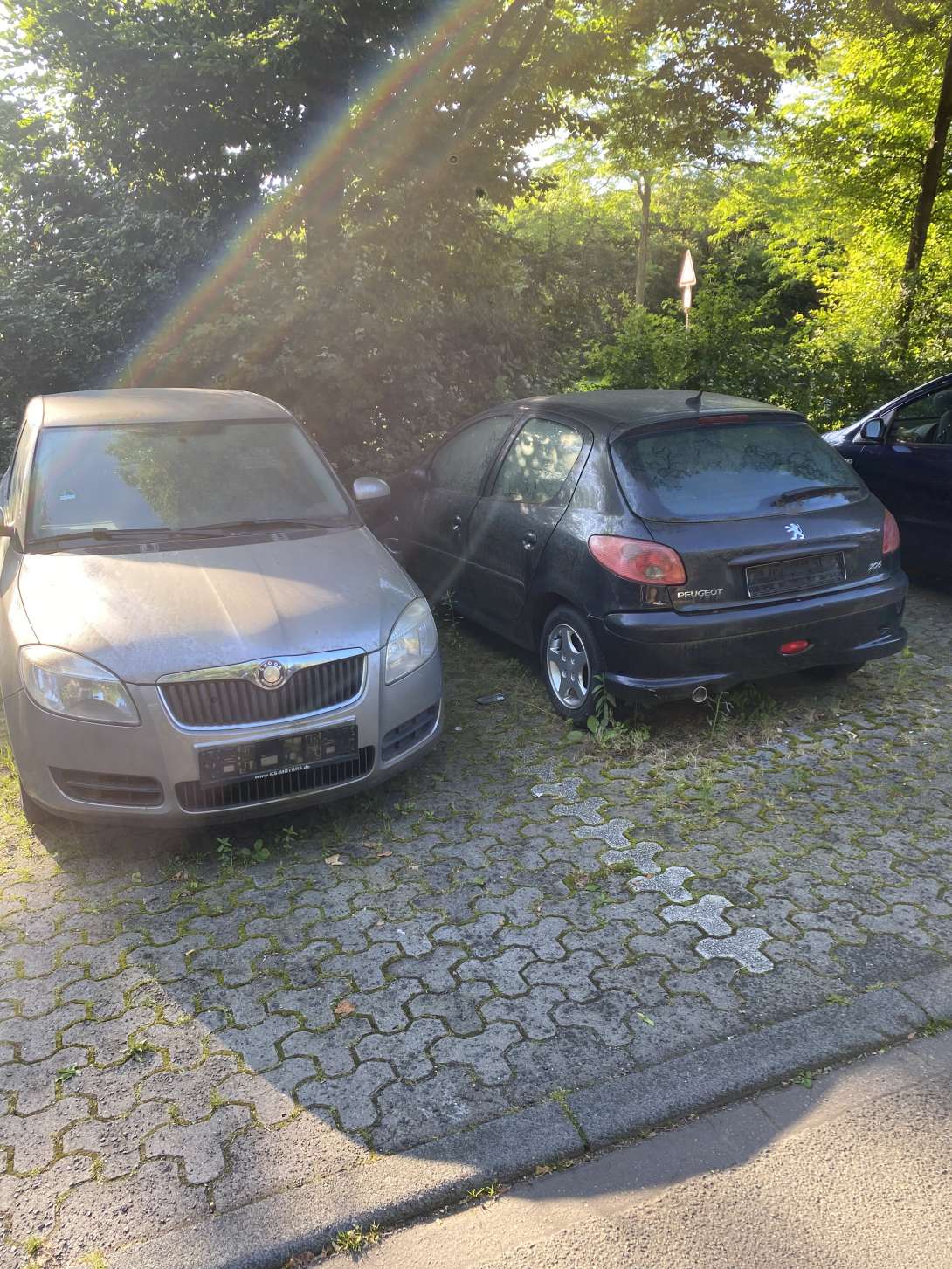 Bild zu gemeldetem Anliegen vom *2024-06-11 10:11:30
