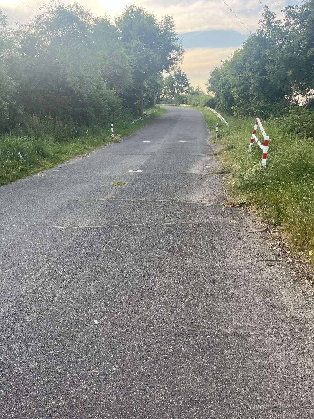 Bild zu gemeldetem Anliegen vom *2024-06-27 19:52:31