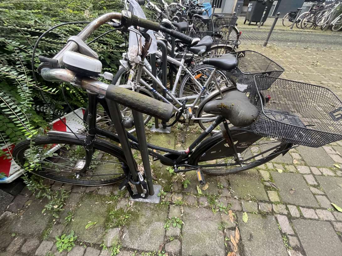 Bild zu gemeldetem Anliegen vom *2024-06-24 14:25:01