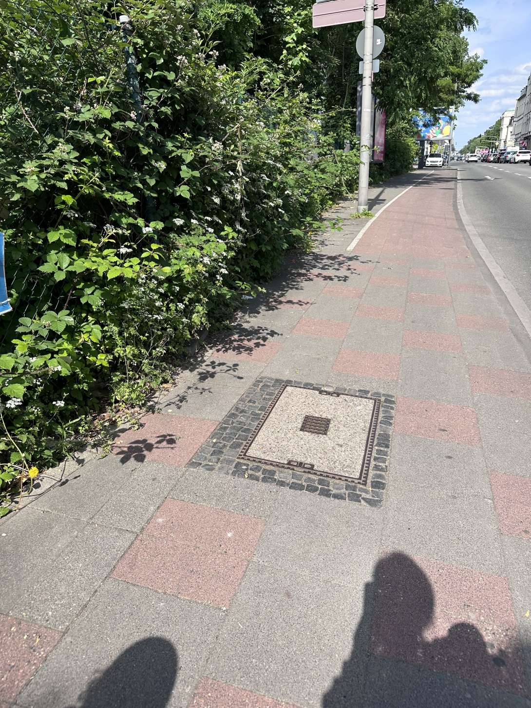 Bild zu gemeldetem Anliegen vom *2024-06-05 22:29:24