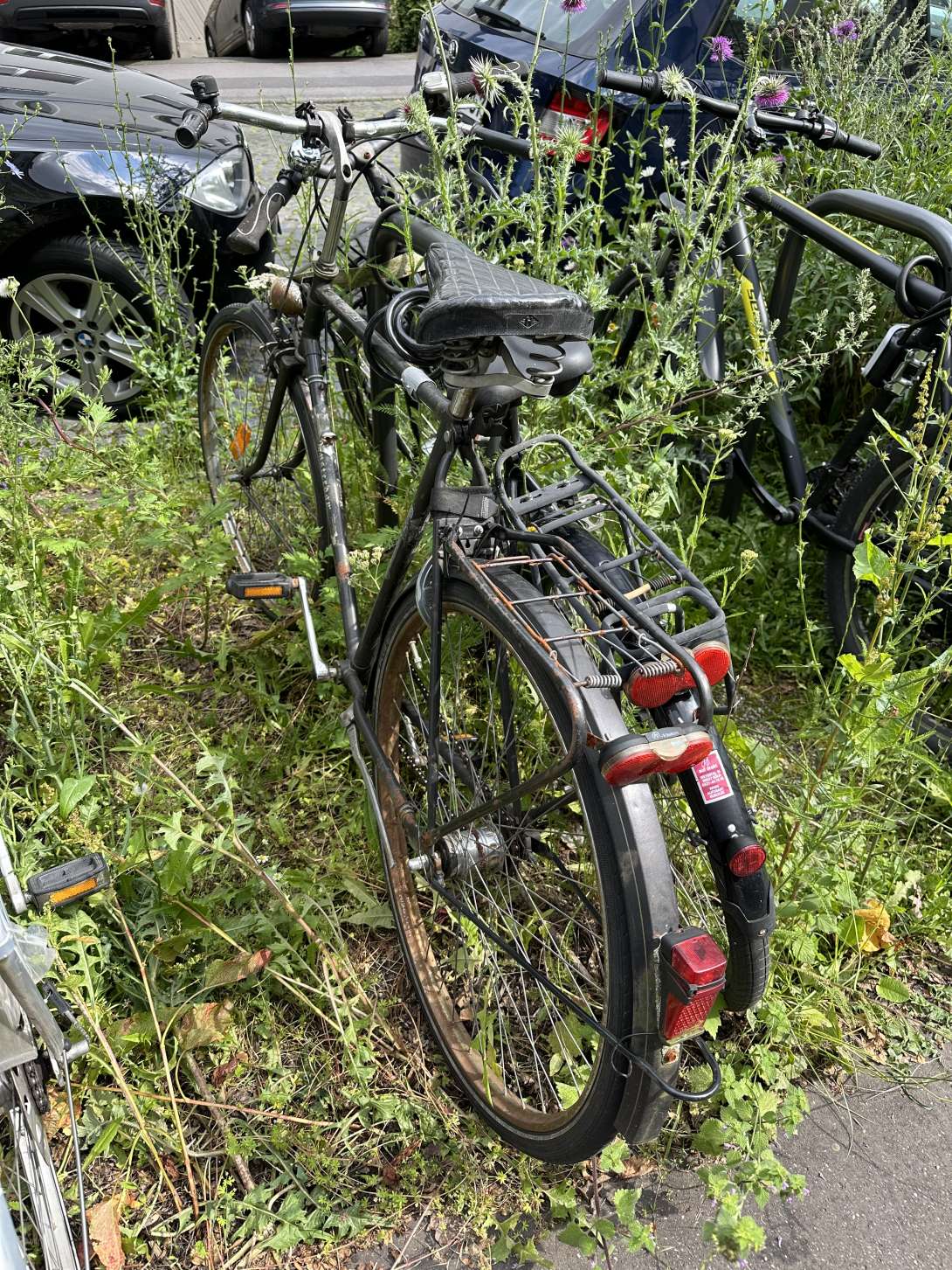 Bild zu gemeldetem Anliegen vom *2024-06-20 09:25:56