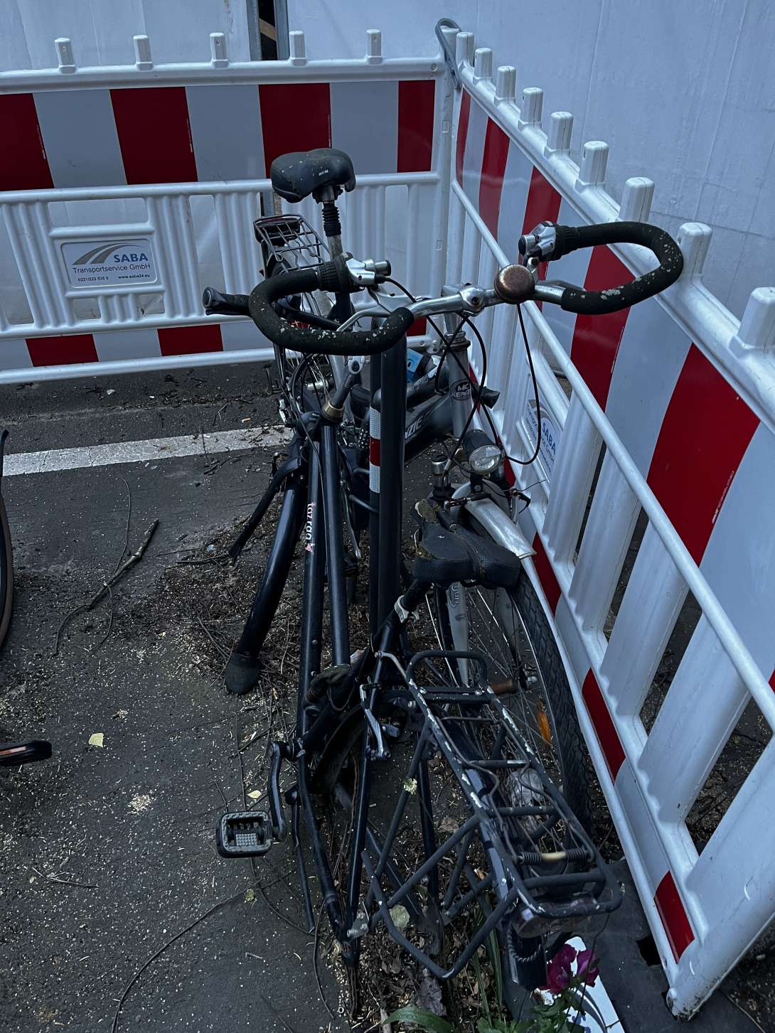 Bild zu gemeldetem Anliegen vom *2024-06-17 09:35:57