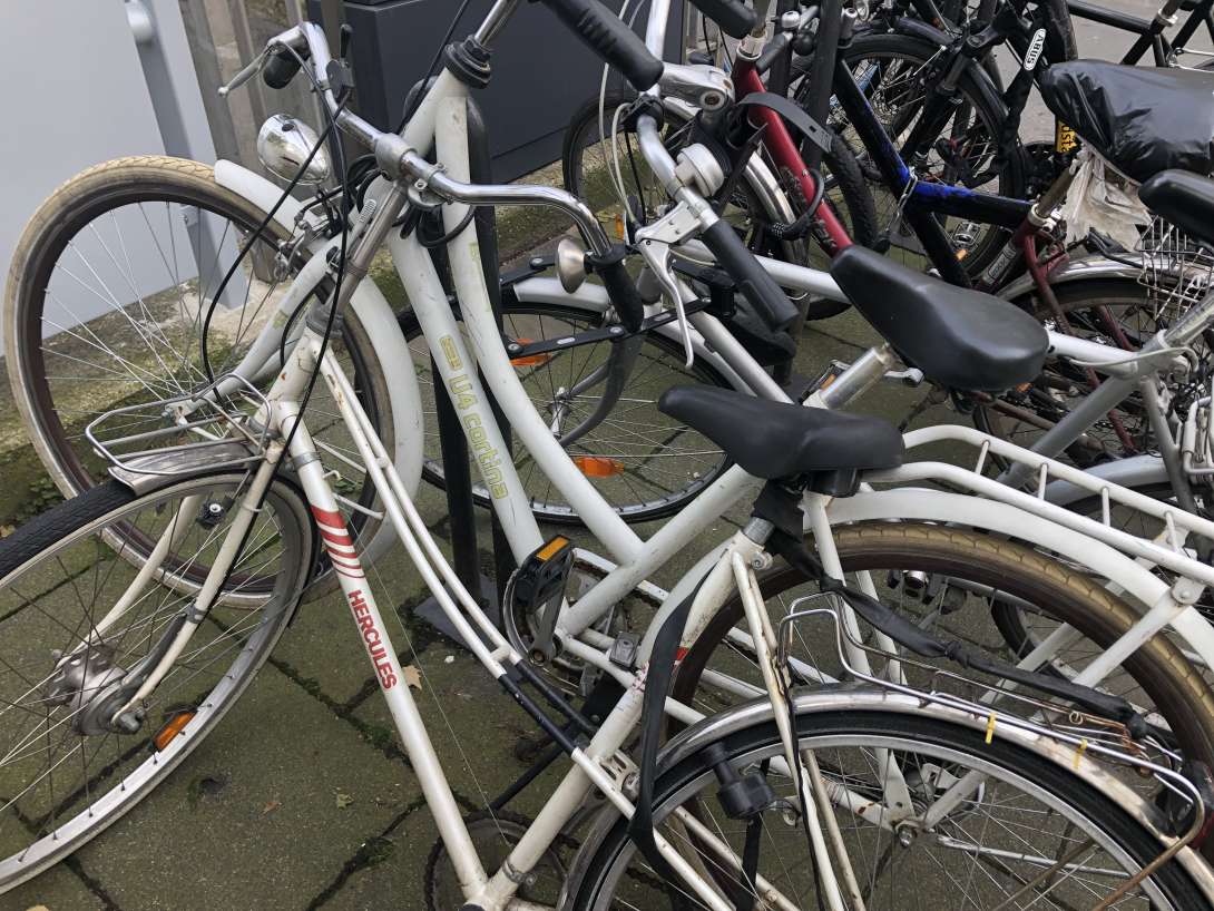 Bild zu gemeldetem Anliegen vom *2024-07-10 12:09:35