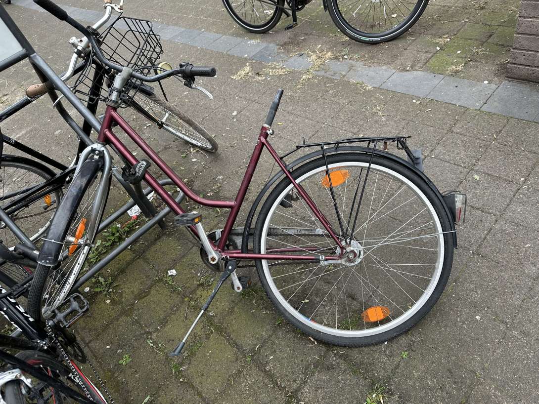 Bild zu gemeldetem Anliegen vom *2024-06-04 06:24:41