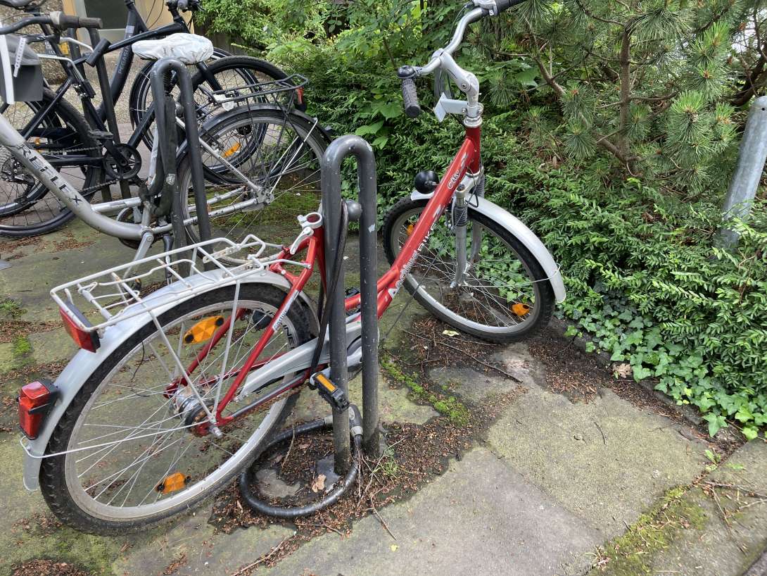 Bild zu gemeldetem Anliegen vom *2024-06-28 12:38:23