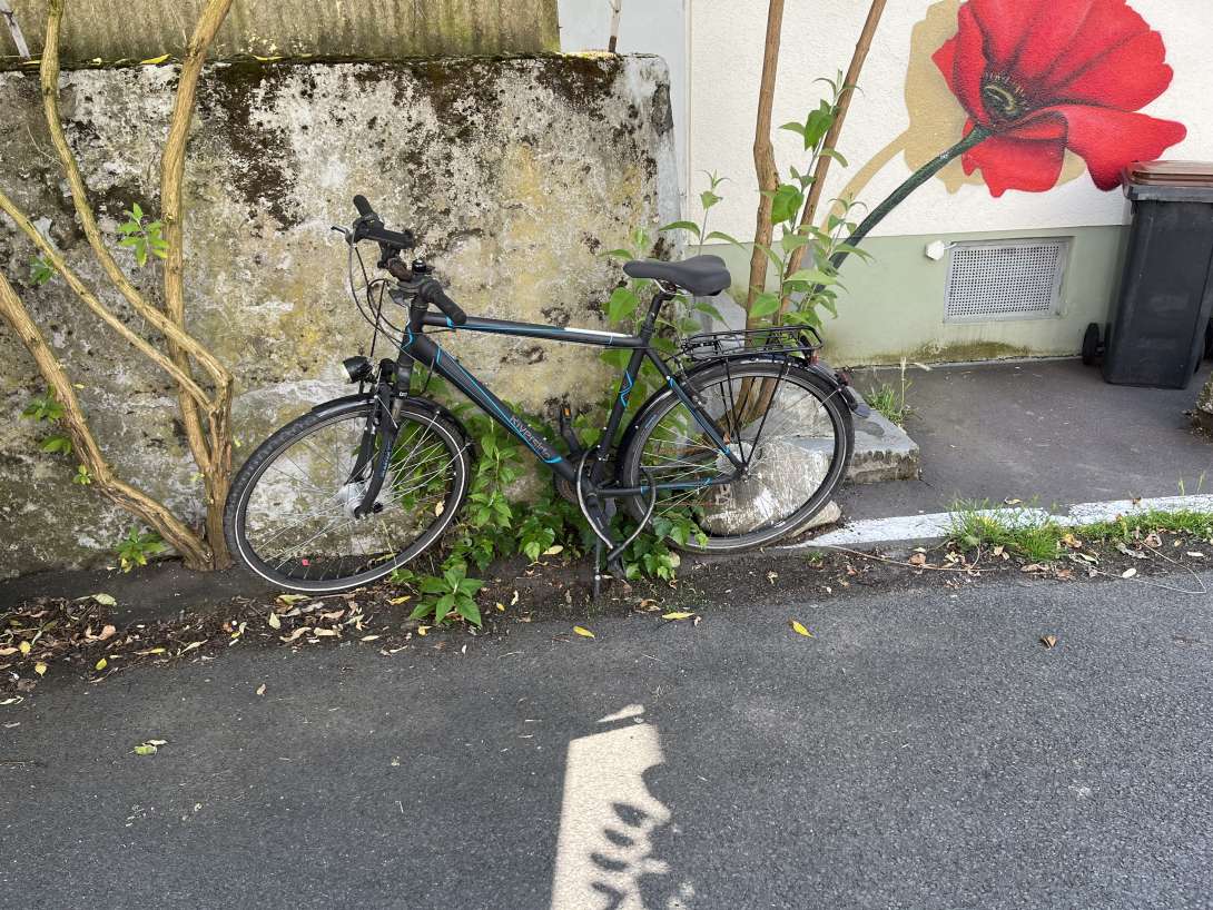 Bild zu gemeldetem Anliegen vom *2024-06-07 10:13:46