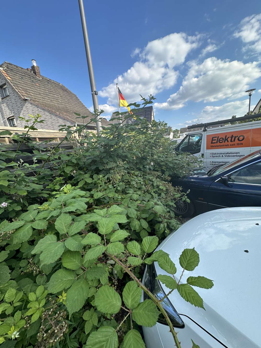 Bild zu gemeldetem Anliegen vom *2024-06-24 17:47:03
