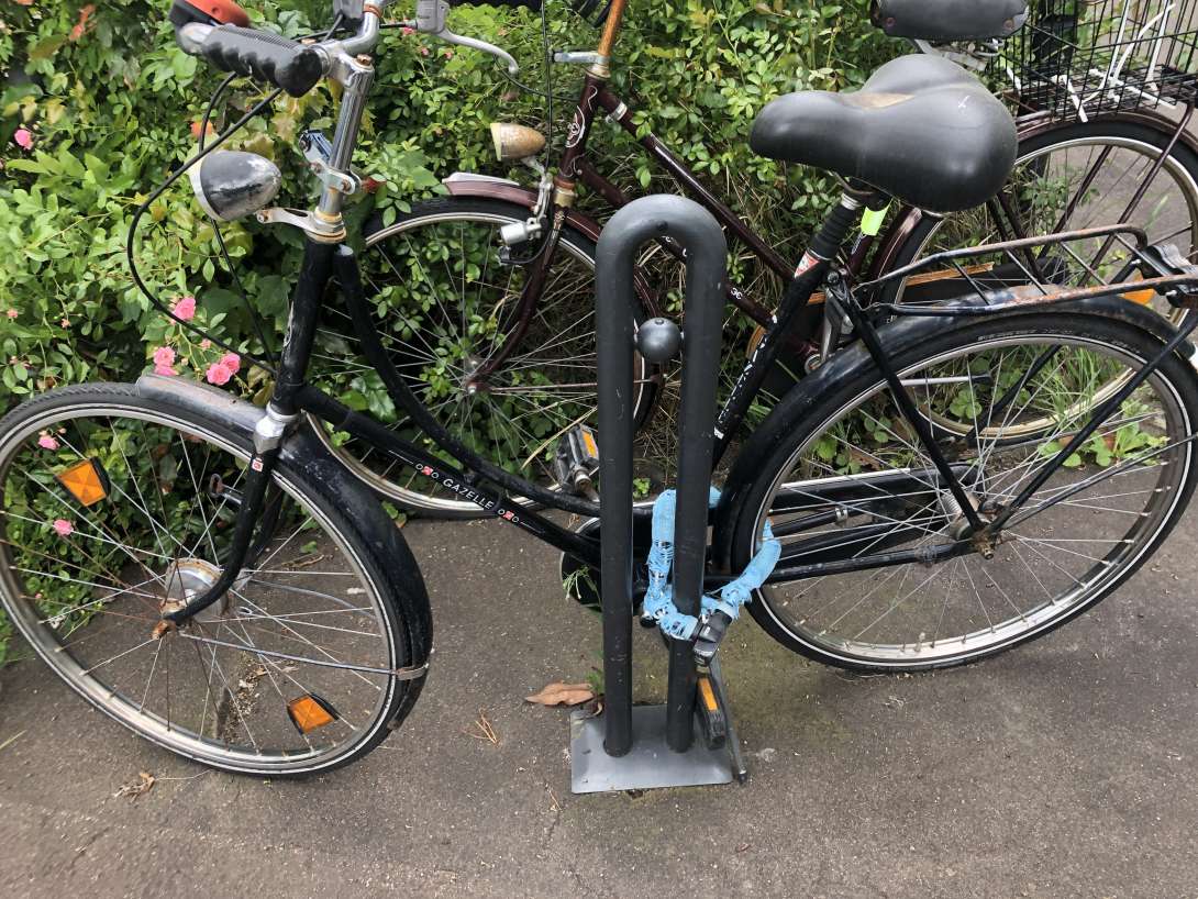 Bild zu gemeldetem Anliegen vom *2024-06-26 12:03:28