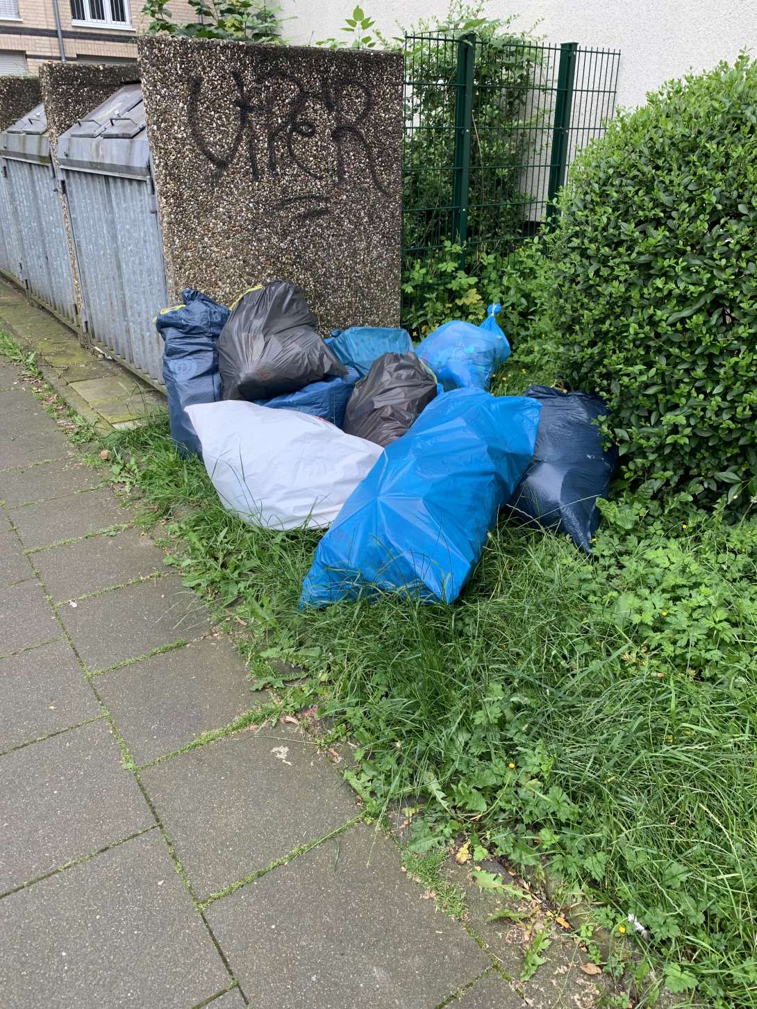 Bild zu gemeldetem Anliegen vom *2024-06-03 09:48:31