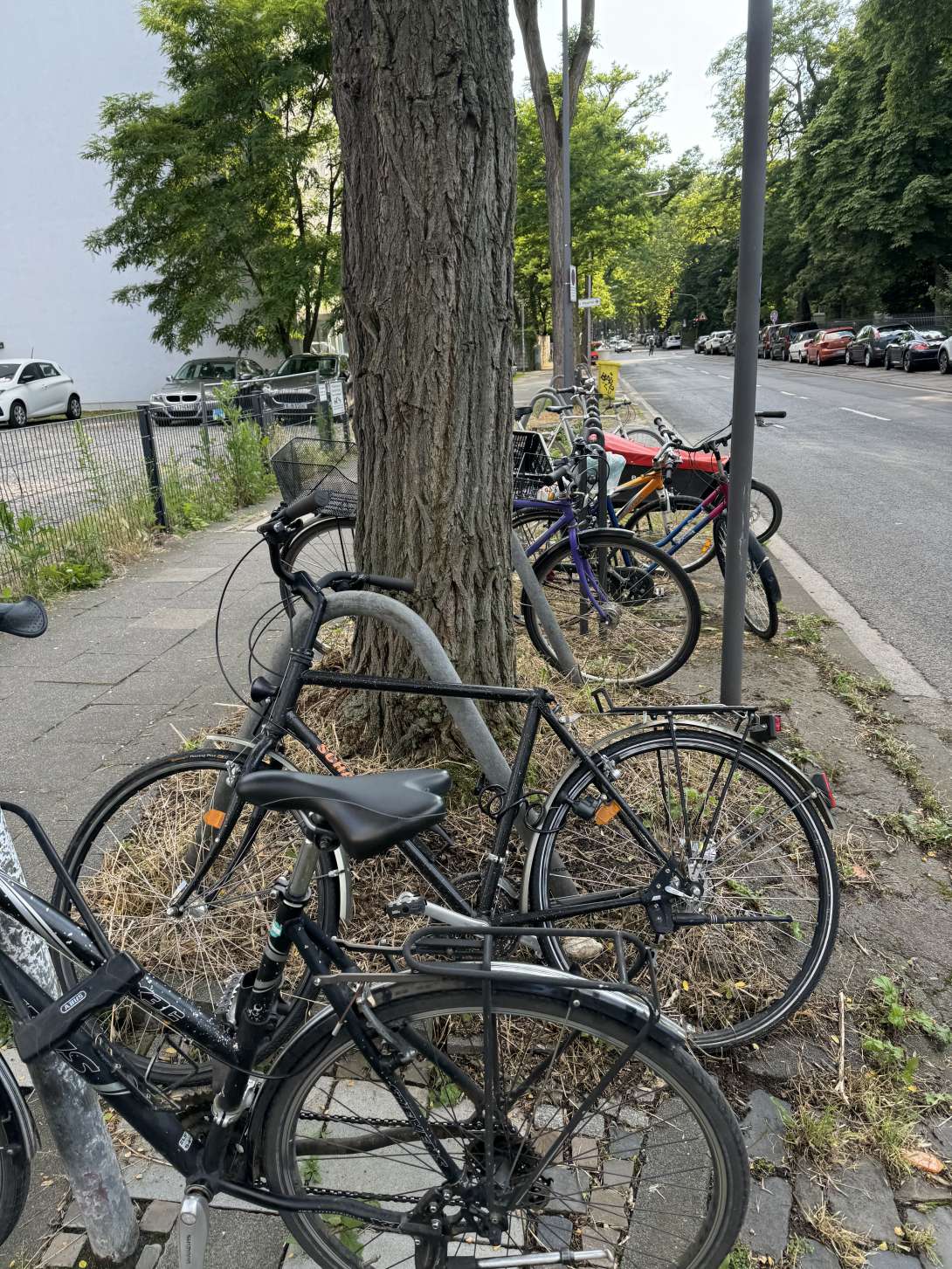 Bild zu gemeldetem Anliegen vom *2024-06-25 10:05:06