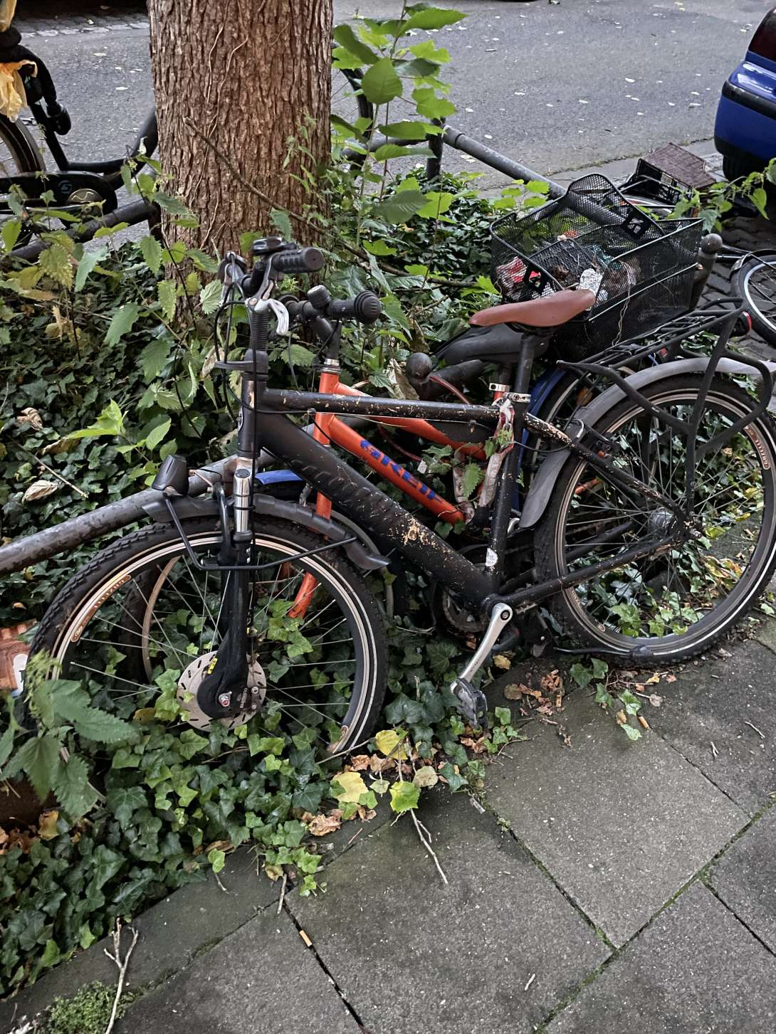 Bild zu gemeldetem Anliegen vom *2024-06-12 12:55:07