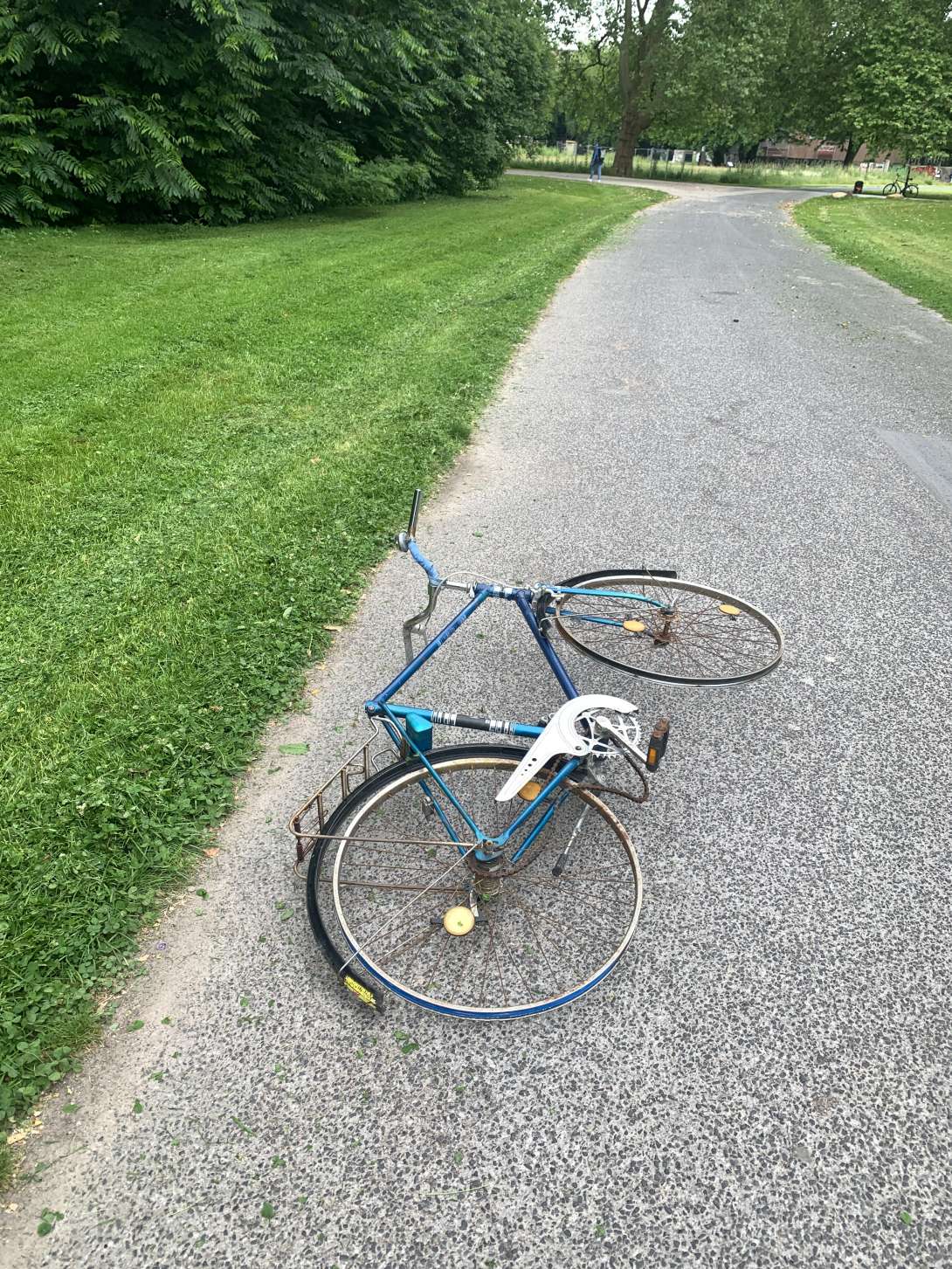 Bild zu gemeldetem Anliegen vom *2024-06-11 15:24:08