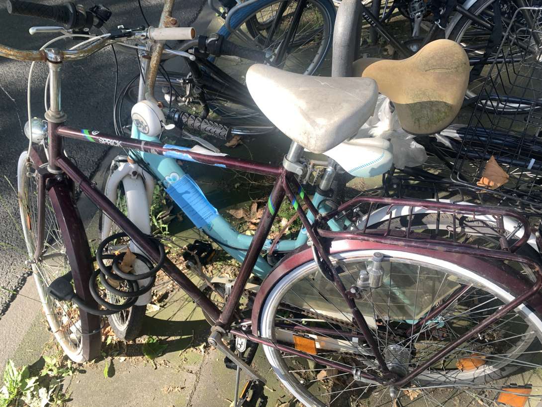 Bild zu gemeldetem Anliegen vom *2024-06-28 10:14:11