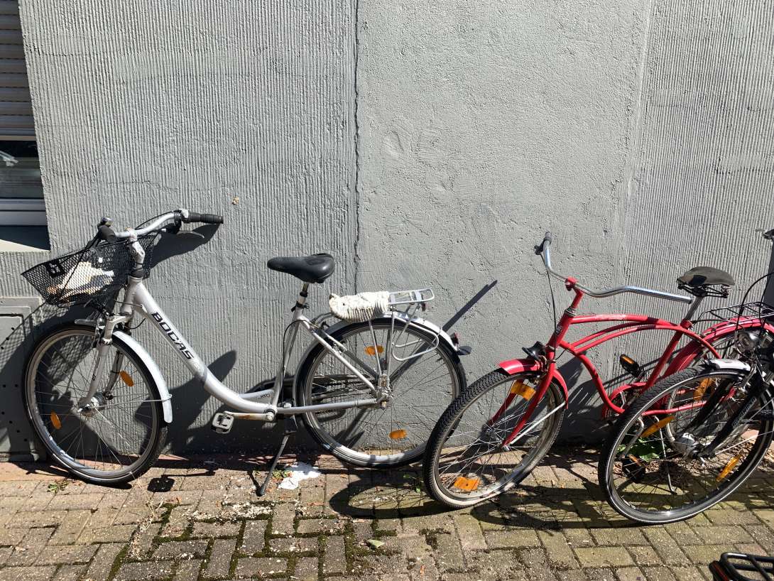 Bild zu gemeldetem Anliegen vom *2024-06-25 10:35:14