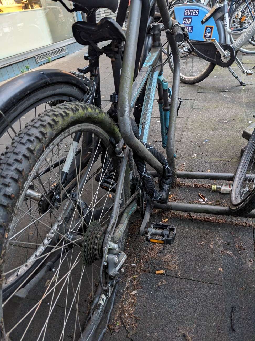 Bild zu gemeldetem Anliegen vom *2024-06-07 10:44:00