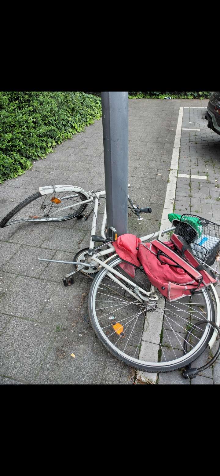 Bild zu gemeldetem Anliegen vom *2024-06-17 20:36:57