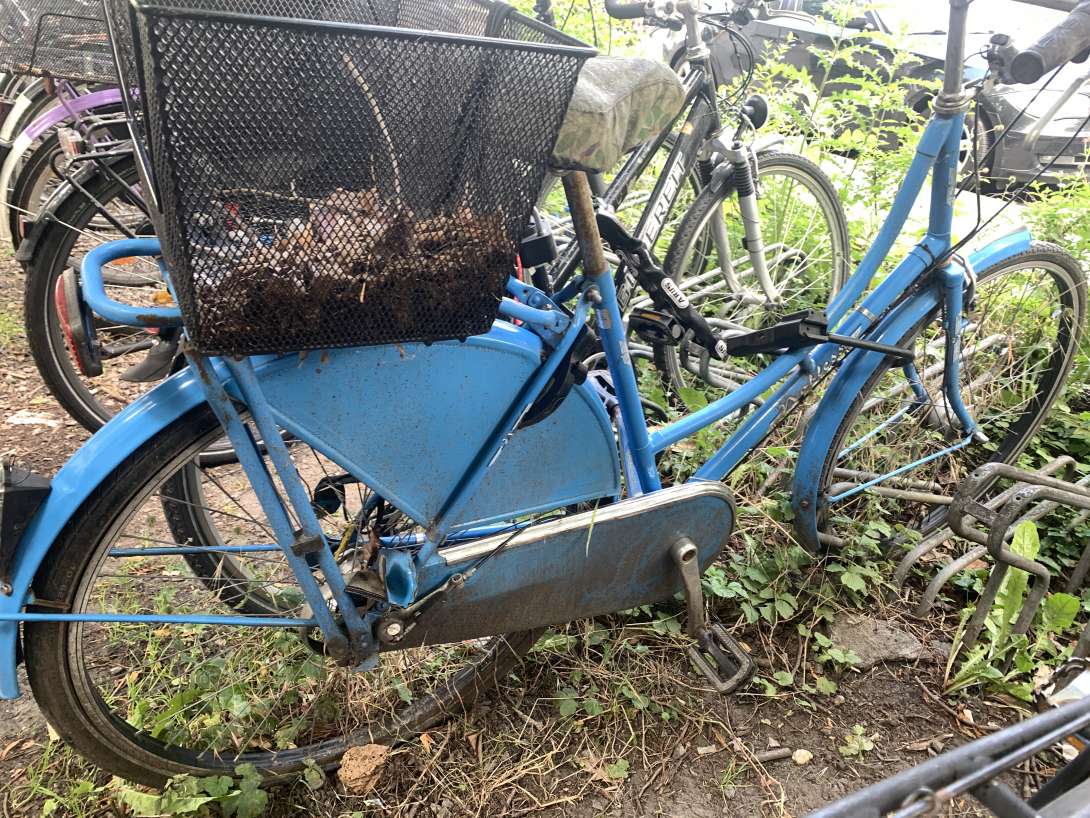 Bild zu gemeldetem Anliegen vom *2024-06-12 11:56:13