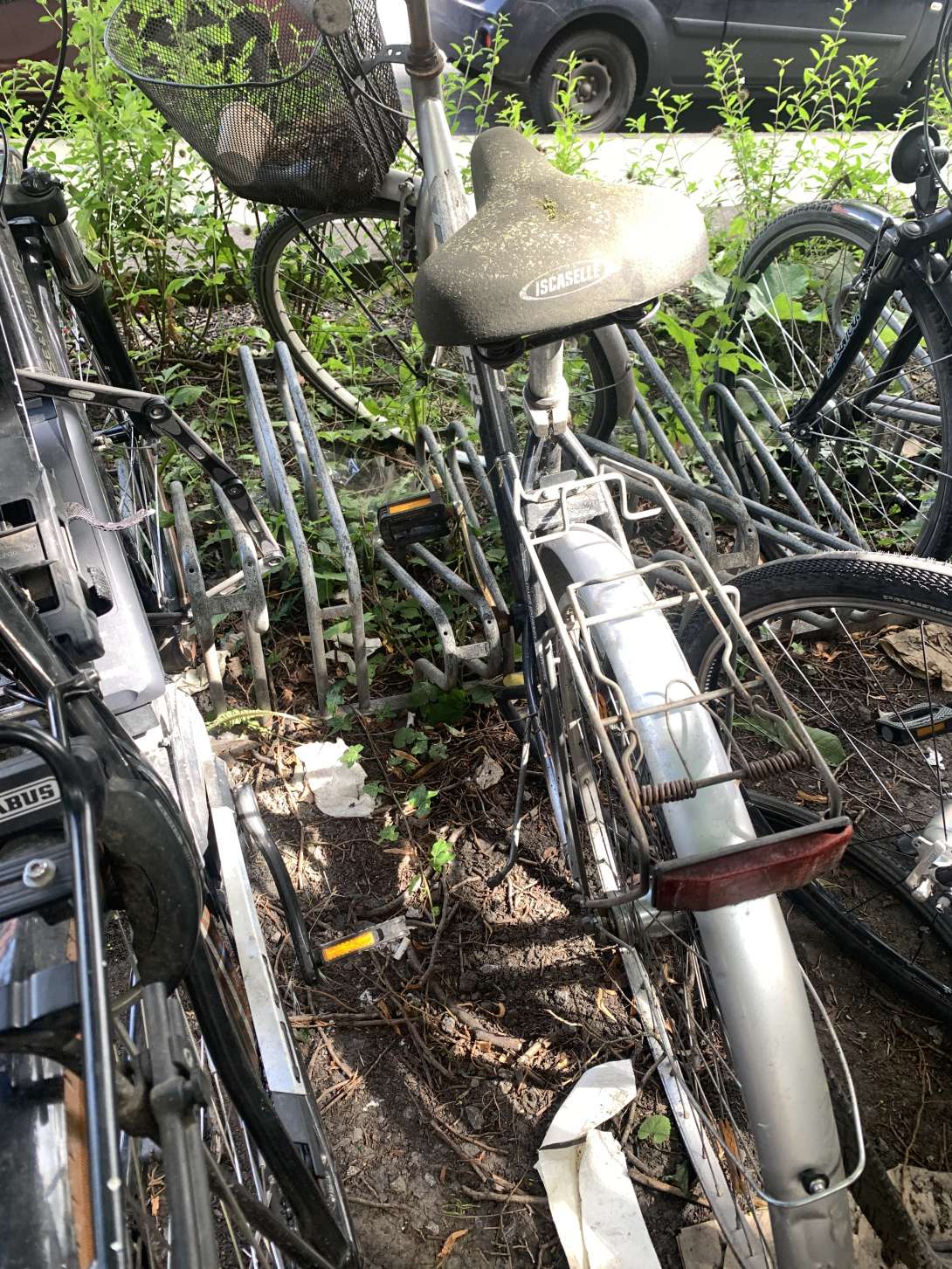 Bild zu gemeldetem Anliegen vom *2024-06-12 11:49:28