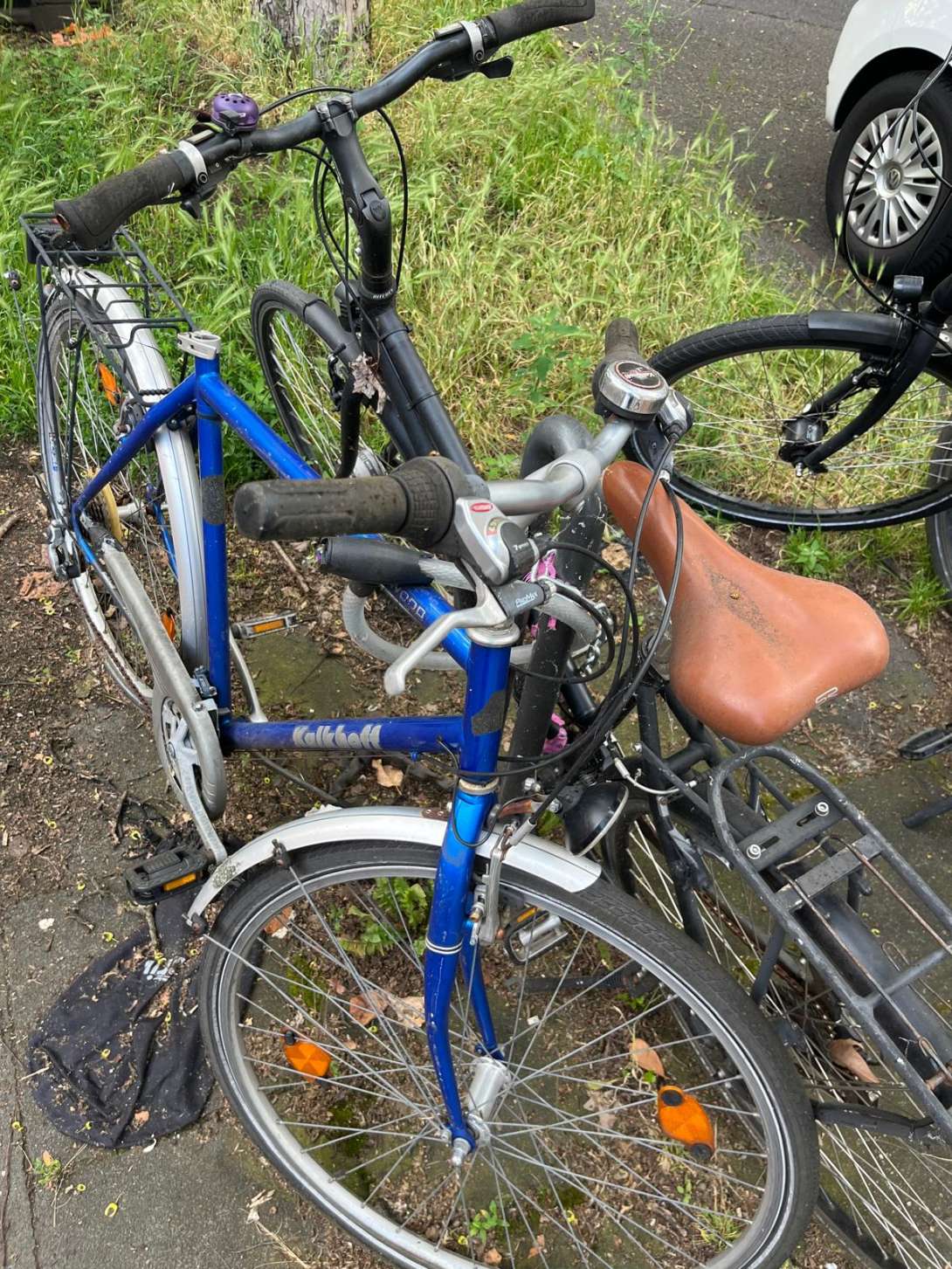 Bild zu gemeldetem Anliegen vom *2024-06-07 14:47:19