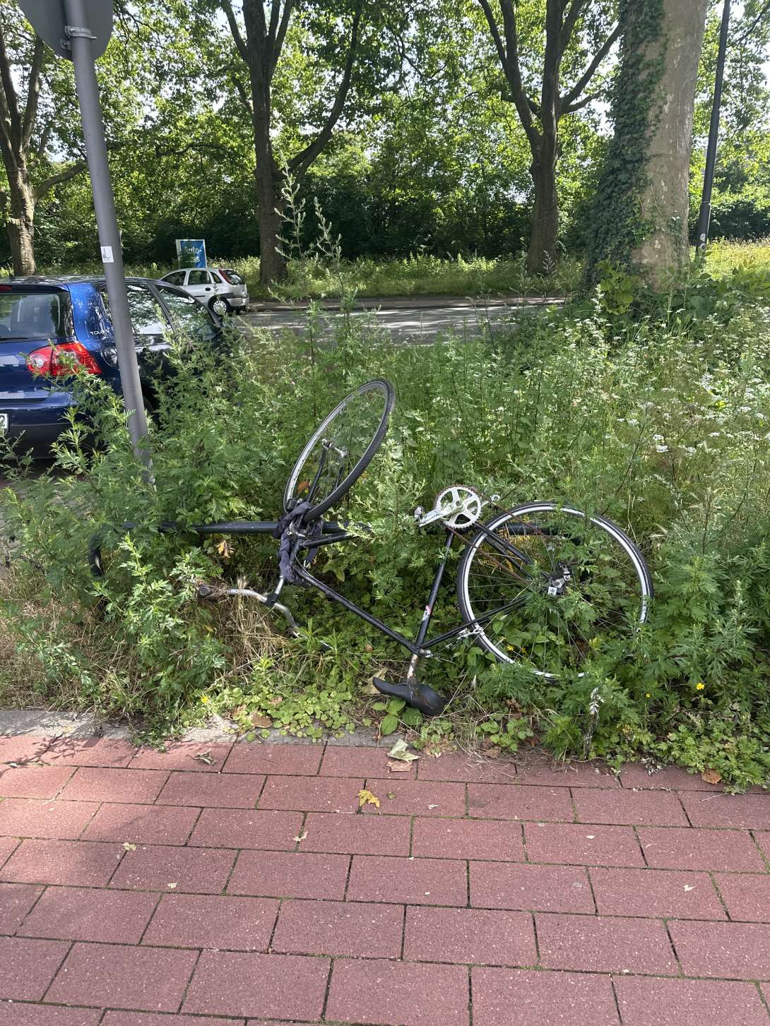 Bild zu gemeldetem Anliegen vom *2024-07-04 14:05:29