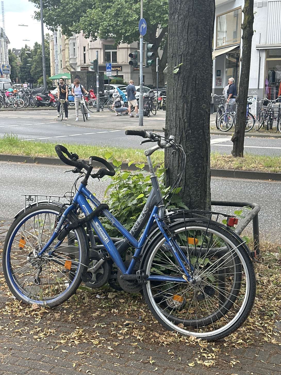 Bild zu gemeldetem Anliegen vom *2024-06-26 10:15:36