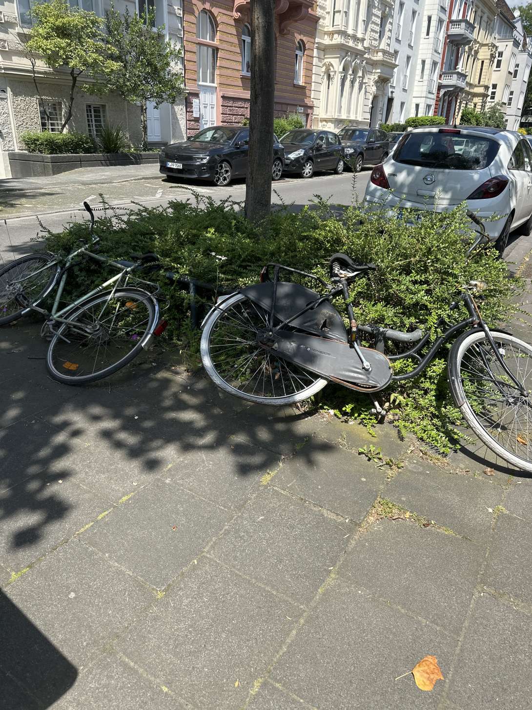 Bild zu gemeldetem Anliegen vom *2024-06-28 17:07:36