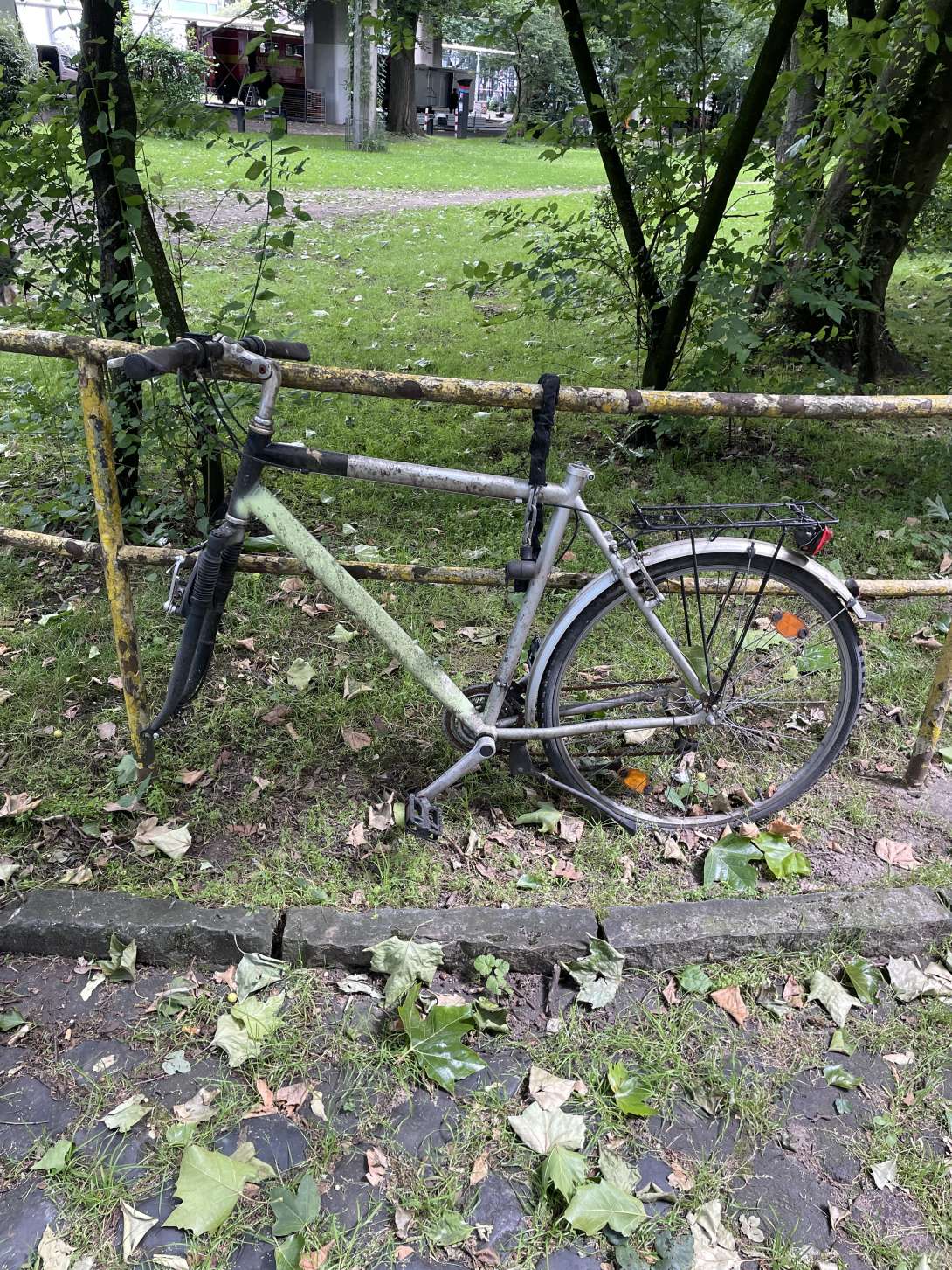 Bild zu gemeldetem Anliegen vom *2024-06-12 13:08:36