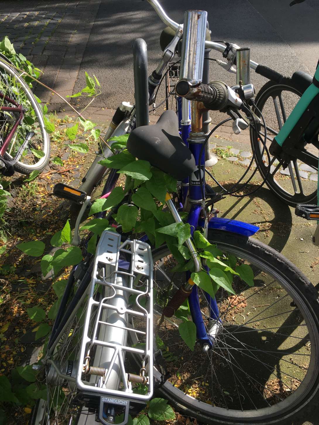 Bild zu gemeldetem Anliegen vom *2024-06-12 06:37:54