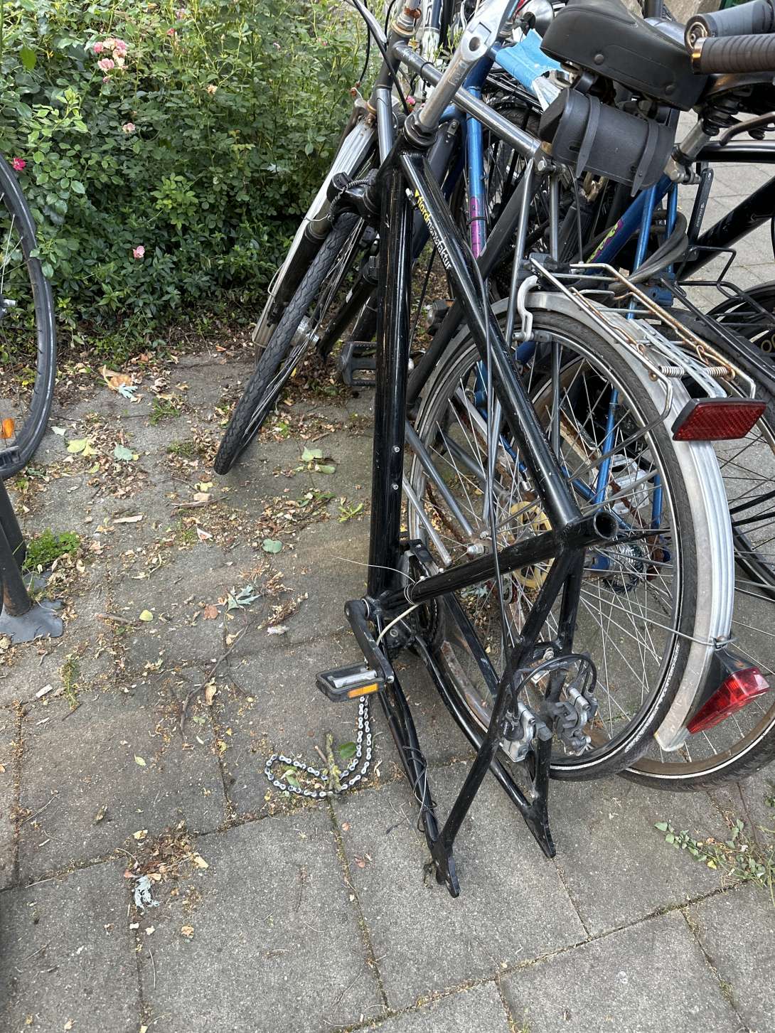 Bild zu gemeldetem Anliegen vom *2024-06-17 20:32:42