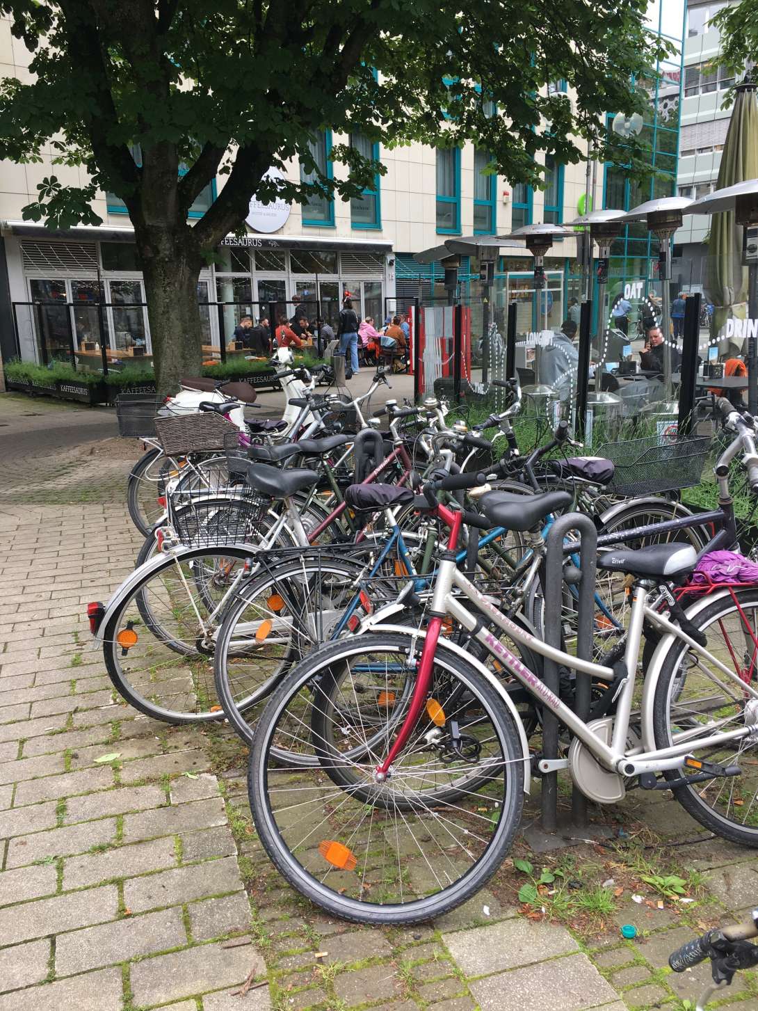 Bild zu gemeldetem Anliegen vom *2024-06-03 13:19:45