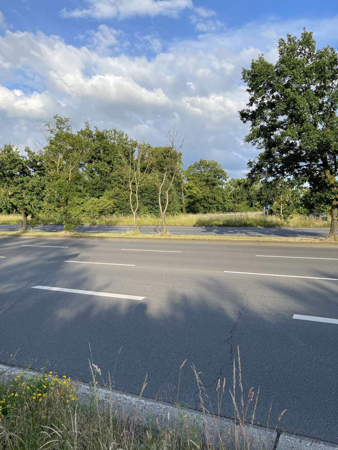 Bild zu gemeldetem Anliegen vom *2024-06-17 19:52:45