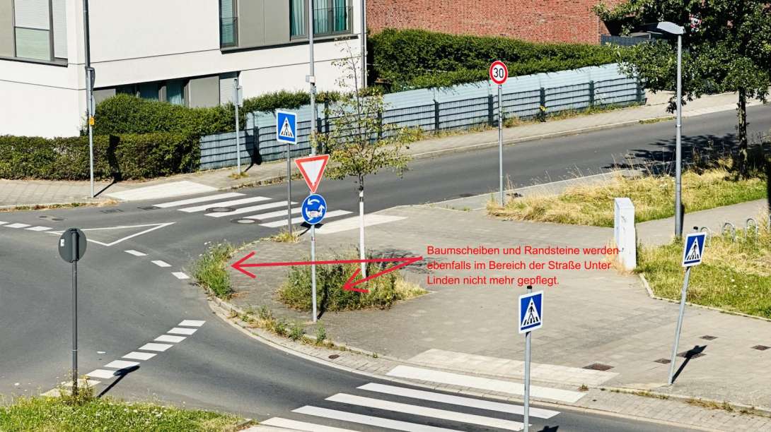 Bild zu gemeldetem Anliegen vom *2024-07-15 11:22:49