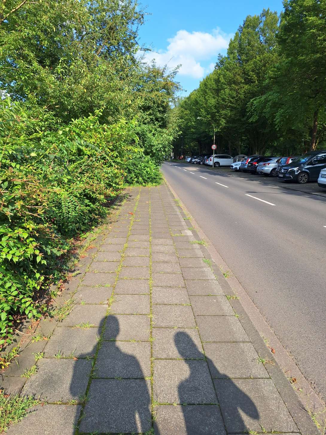 Bild zu gemeldetem Anliegen vom *2024-07-27 17:43:24