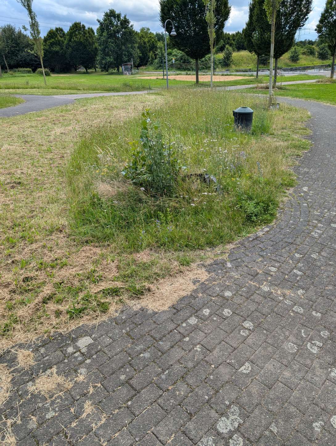 Bild zu gemeldetem Anliegen vom *2024-07-10 16:06:09