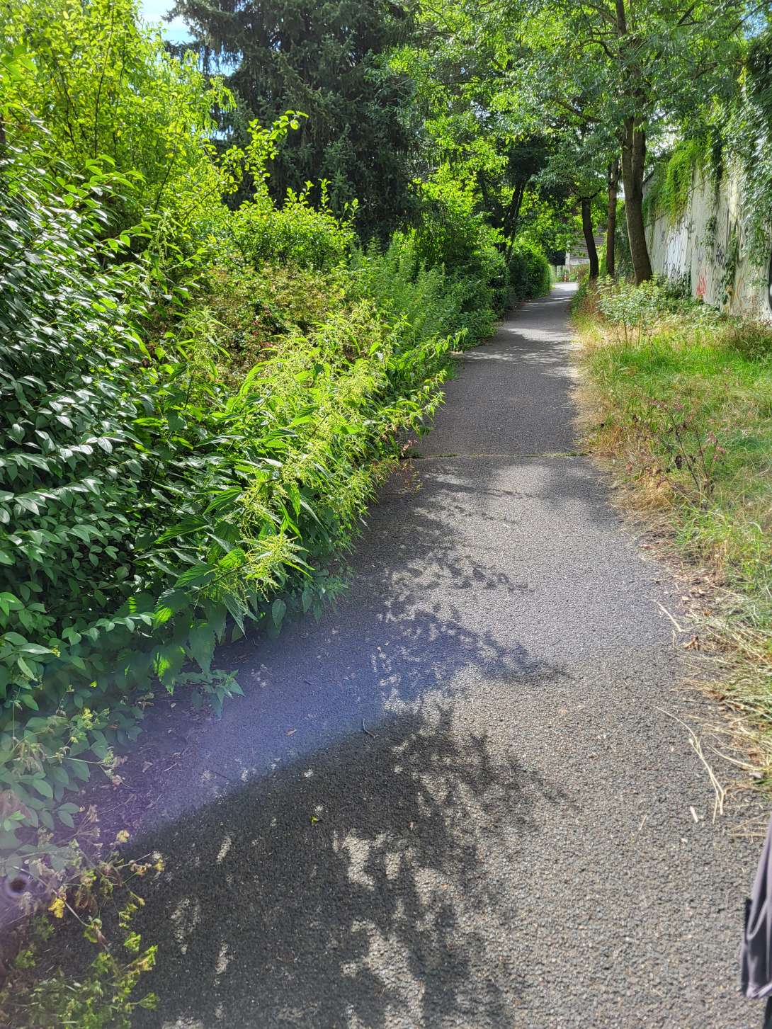 Bild zu gemeldetem Anliegen vom *2024-07-06 11:02:59
