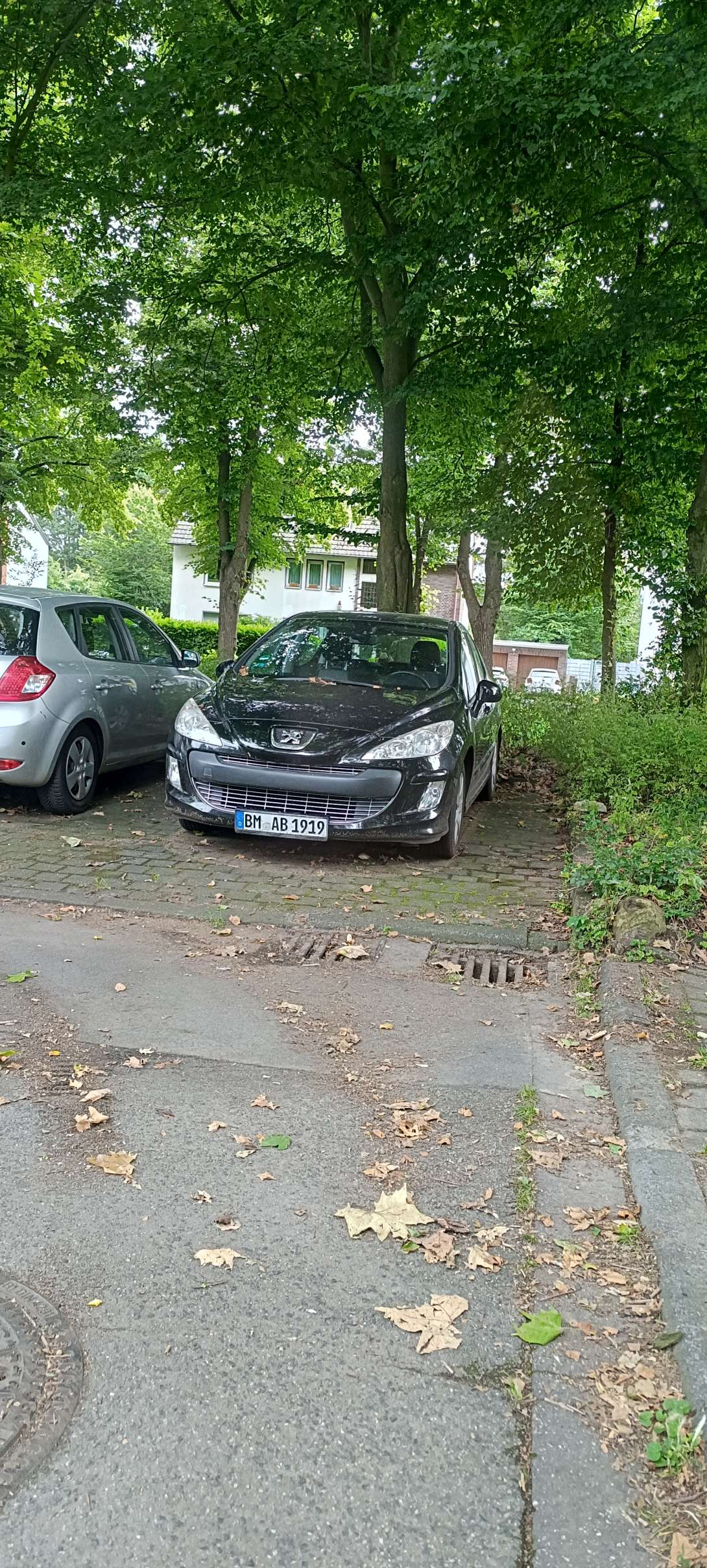 Bild zu gemeldetem Anliegen vom *2024-07-08 08:53:16