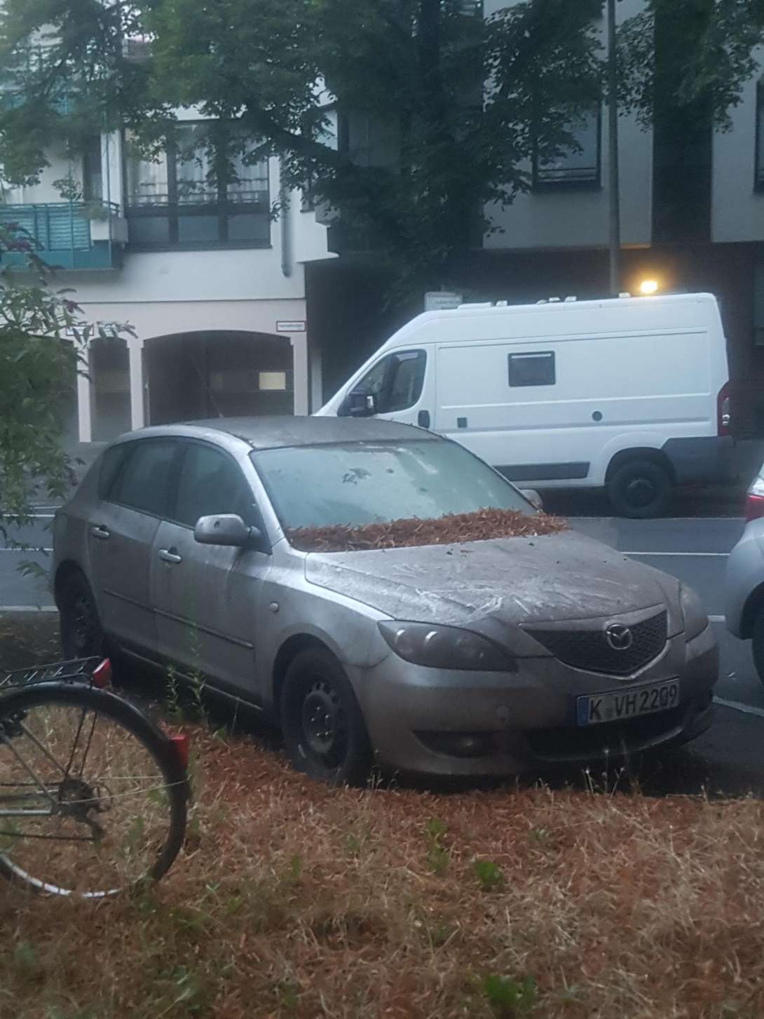 Bild zu gemeldetem Anliegen vom *2024-07-18 12:01:49