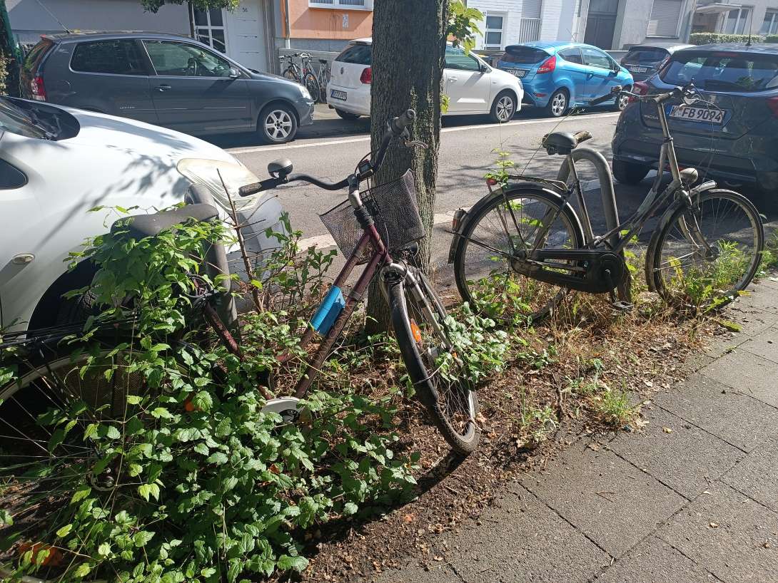 Bild zu gemeldetem Anliegen vom *2024-07-05 11:20:01