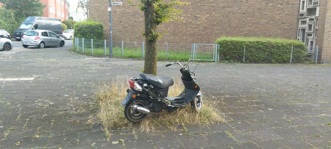 Bild zu gemeldetem Anliegen vom *2024-07-24 11:41:34