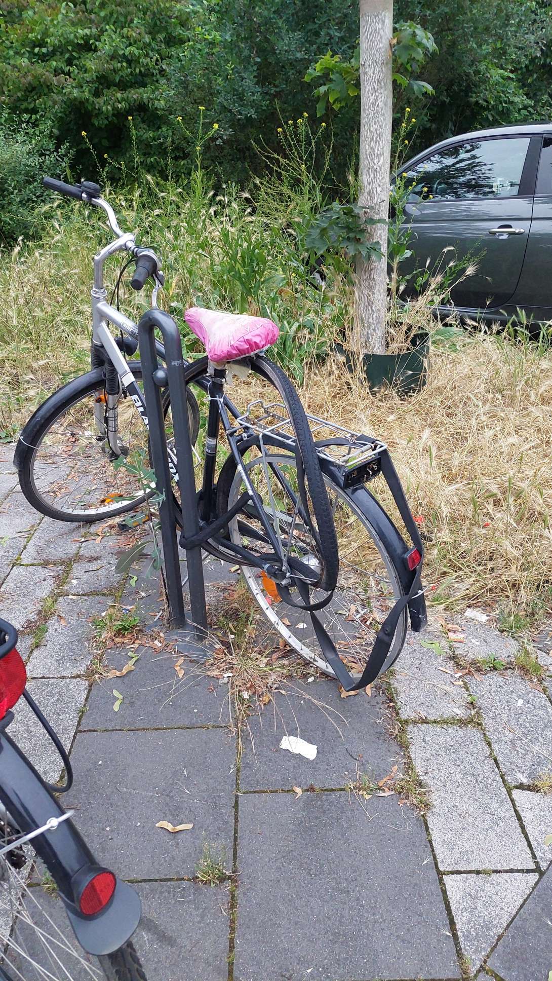 Bild zu gemeldetem Anliegen vom *2024-07-11 13:59:17