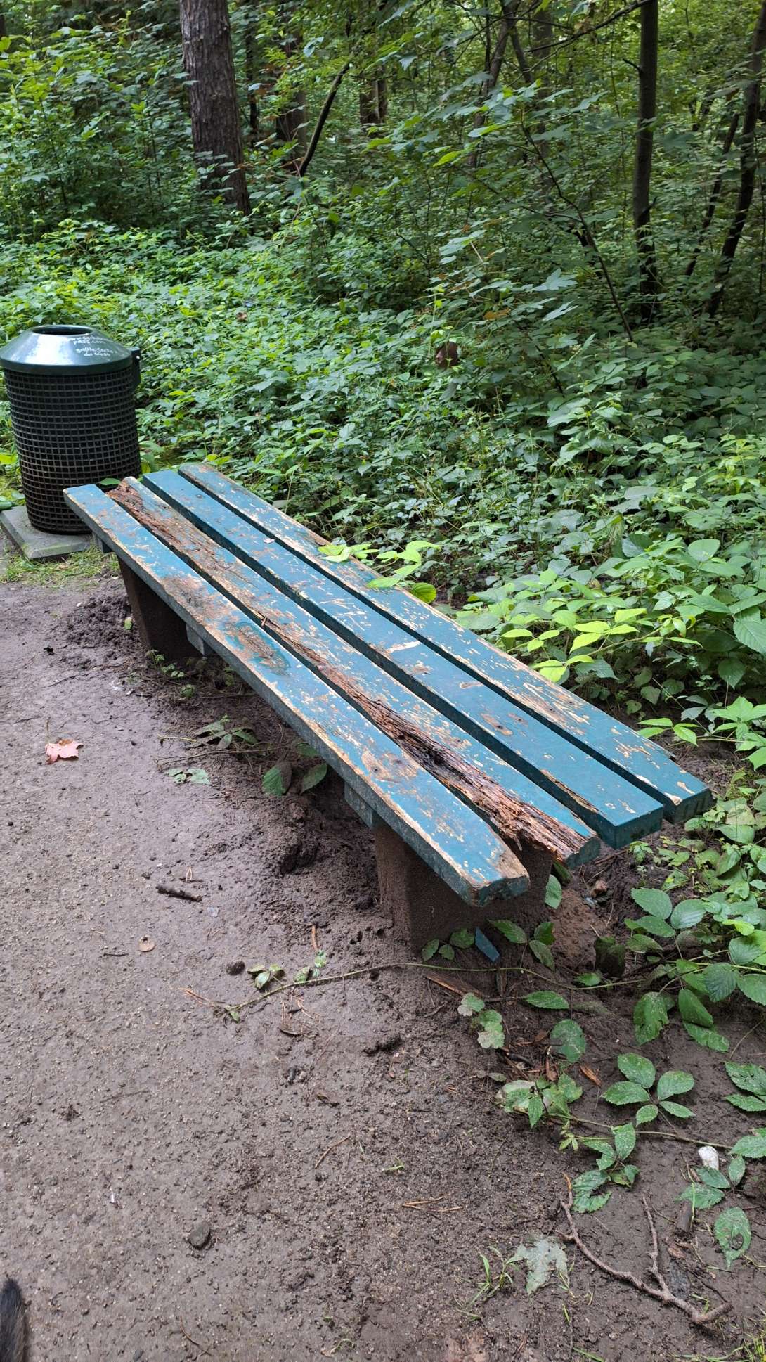 Bild zu gemeldetem Anliegen vom *2024-07-03 21:01:59