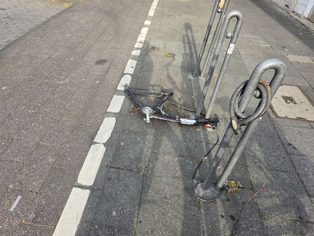 Bild zu gemeldetem Anliegen vom *2024-07-26 12:47:56