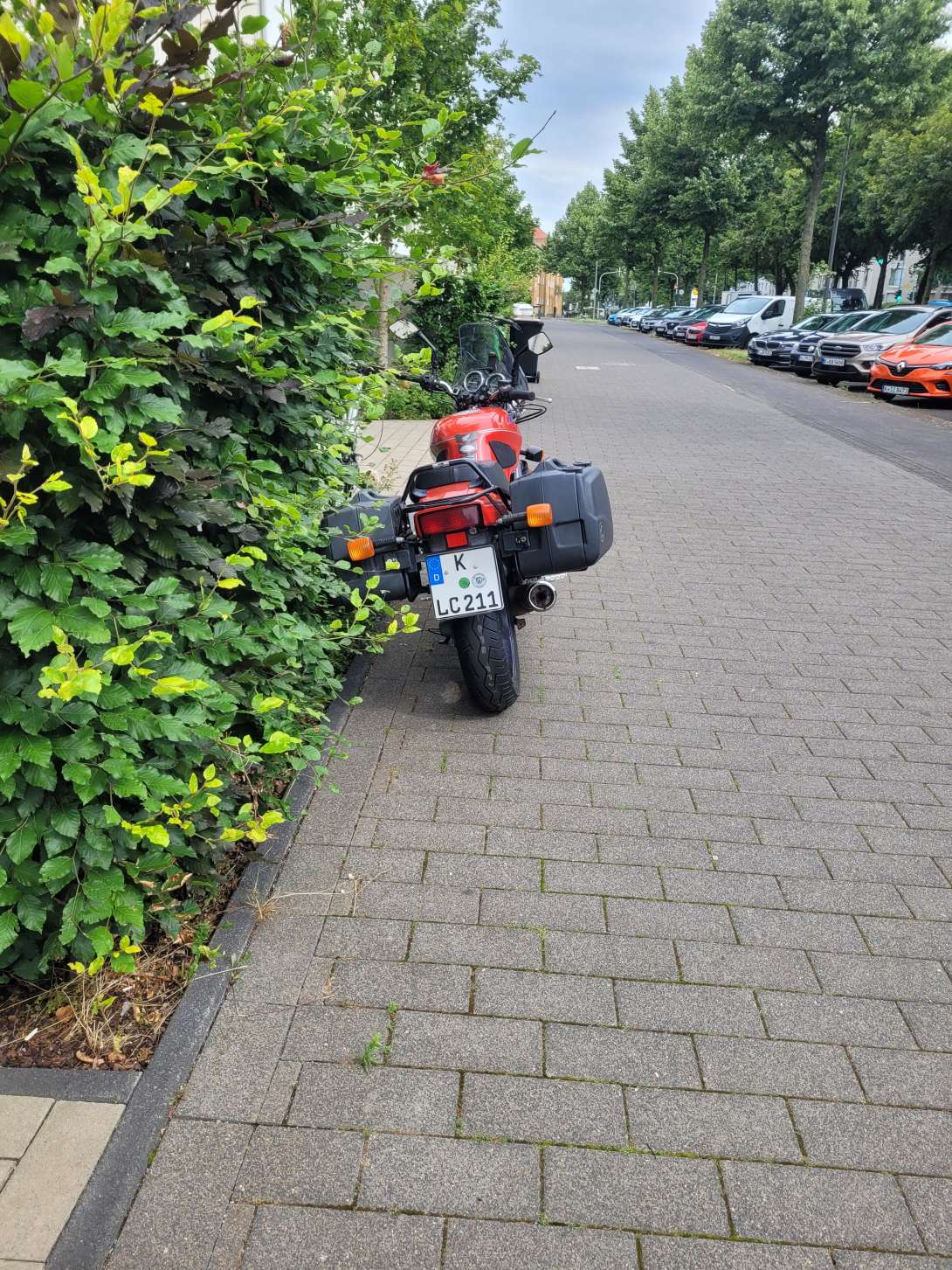 Bild zu gemeldetem Anliegen vom *2024-07-08 07:59:32