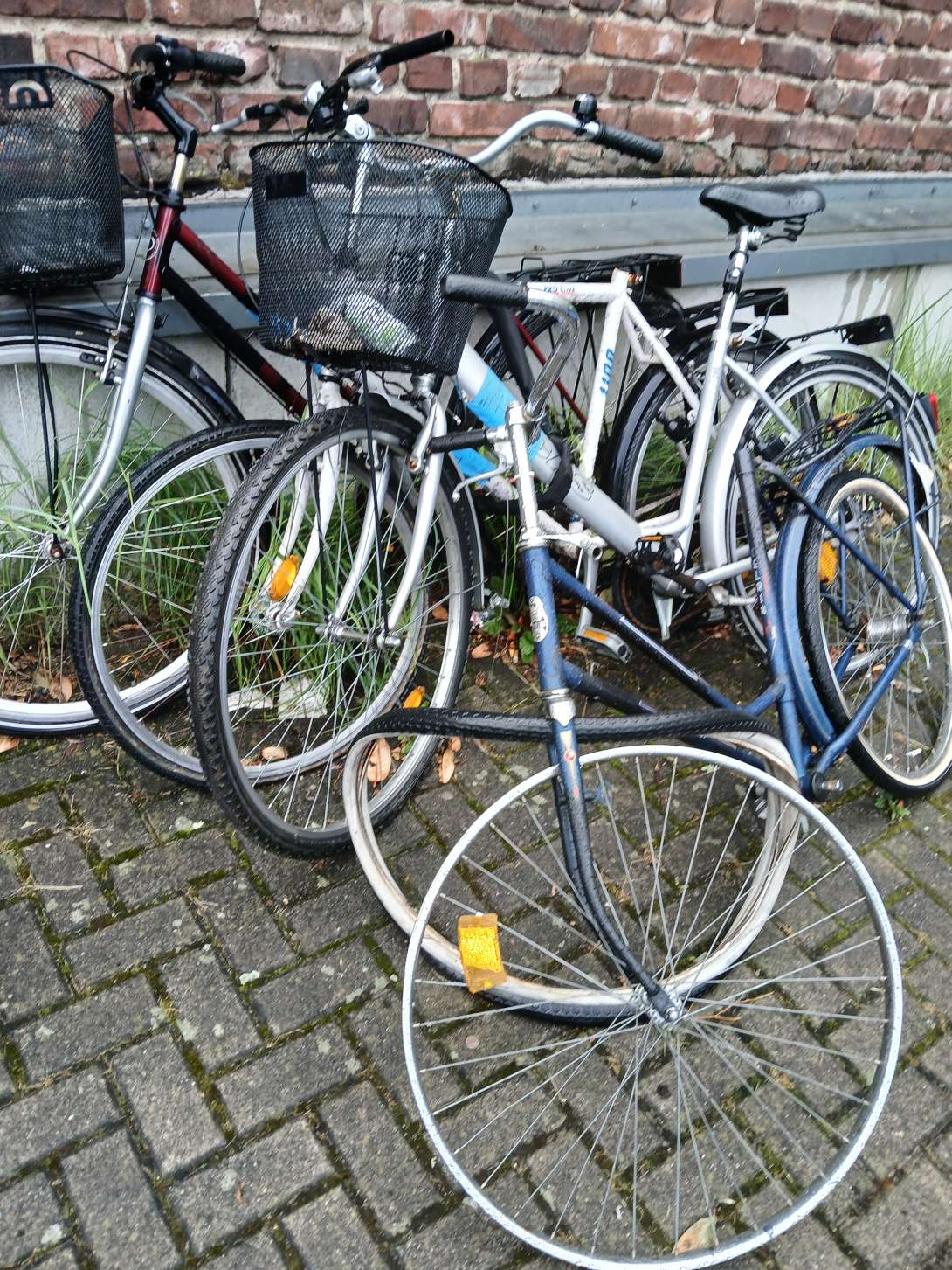 Bild zu gemeldetem Anliegen vom *2024-07-11 06:24:50