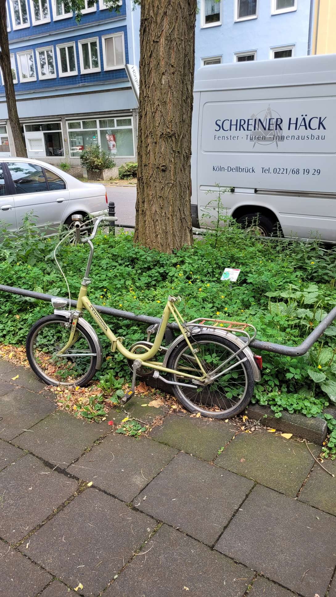 Bild zu gemeldetem Anliegen vom *2024-07-17 06:01:20