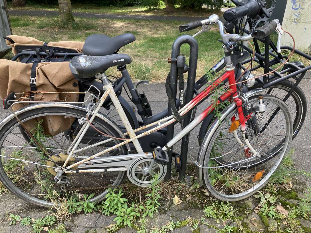 Bild zu gemeldetem Anliegen vom *2024-07-24 17:32:50