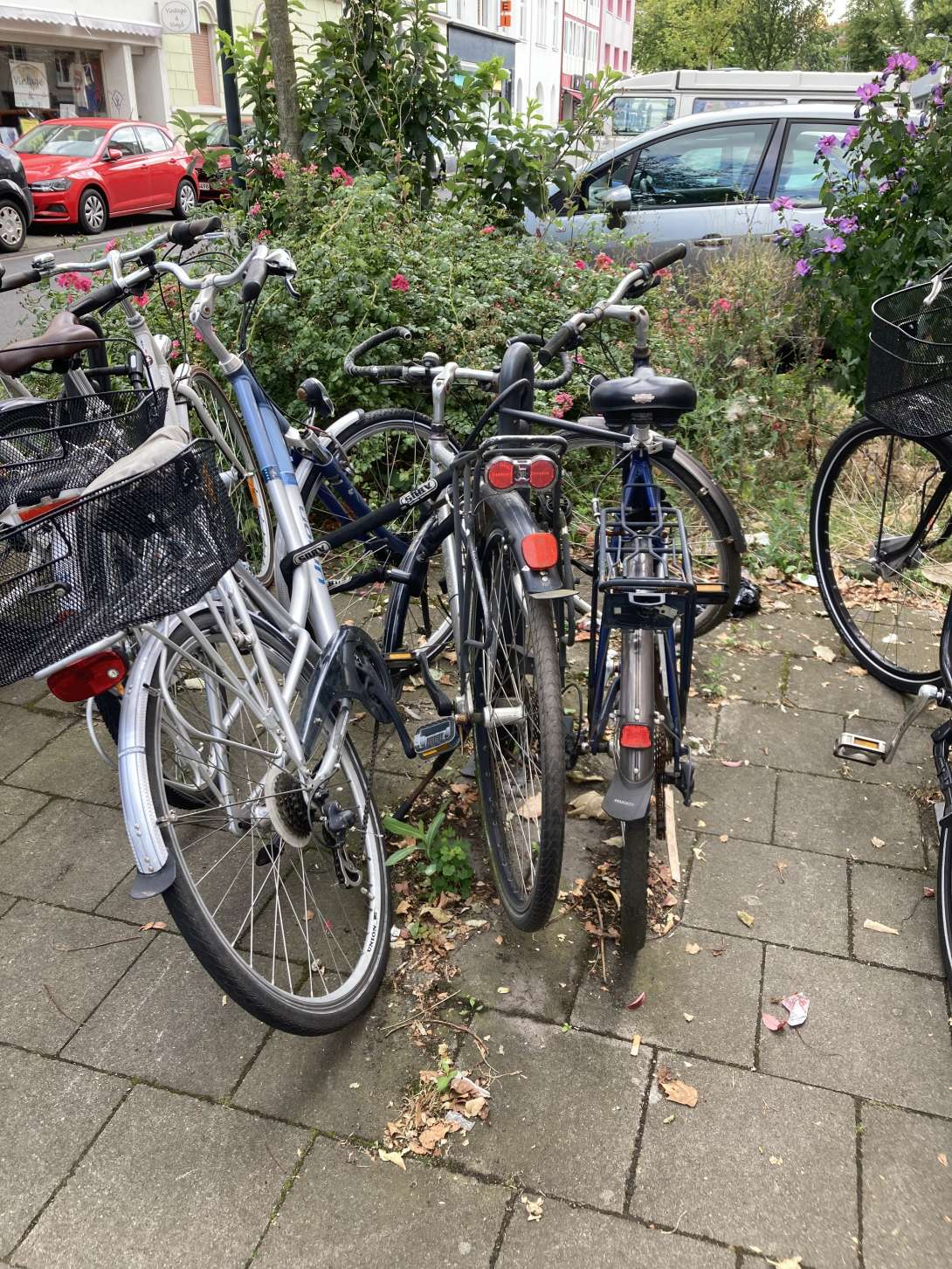 Bild zu gemeldetem Anliegen vom *2024-07-24 17:35:03