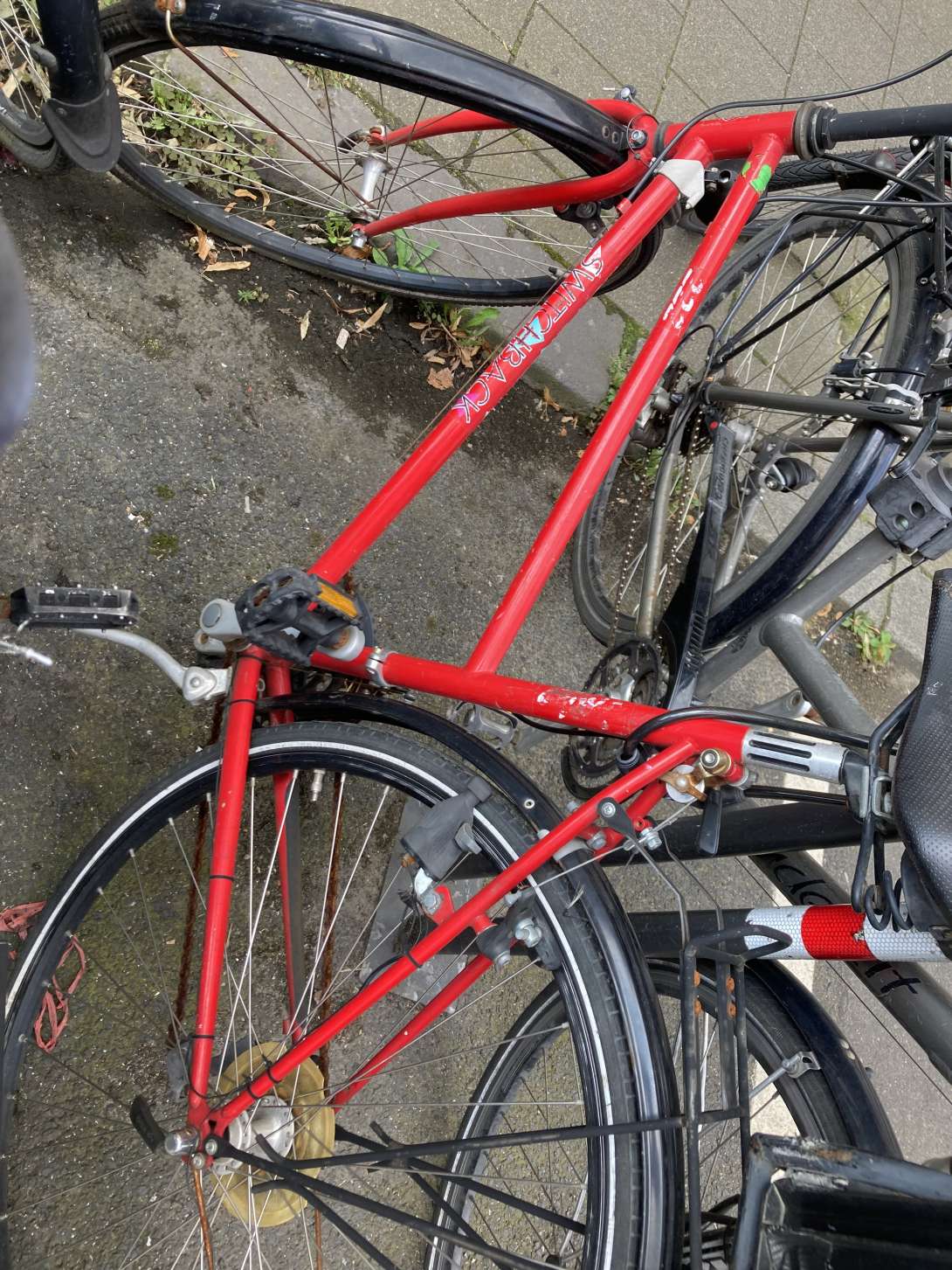 Bild zu gemeldetem Anliegen vom *2024-07-24 17:44:29