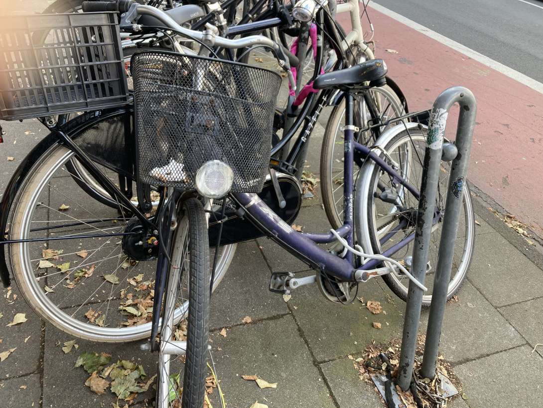 Bild zu gemeldetem Anliegen vom *2024-07-25 20:39:01